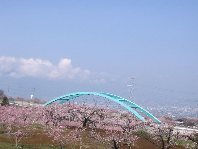 IMG_9003.JPG