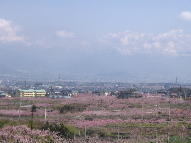 IMG_9017.JPG