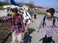 IMG_9018_thumb.png