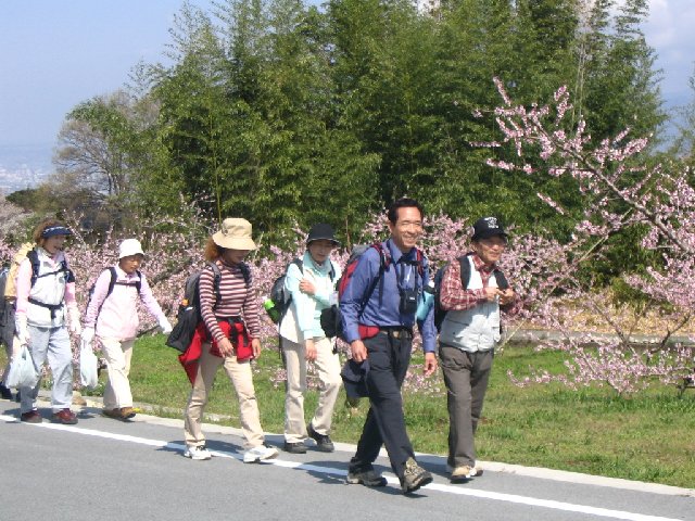 IMG_9040.JPG