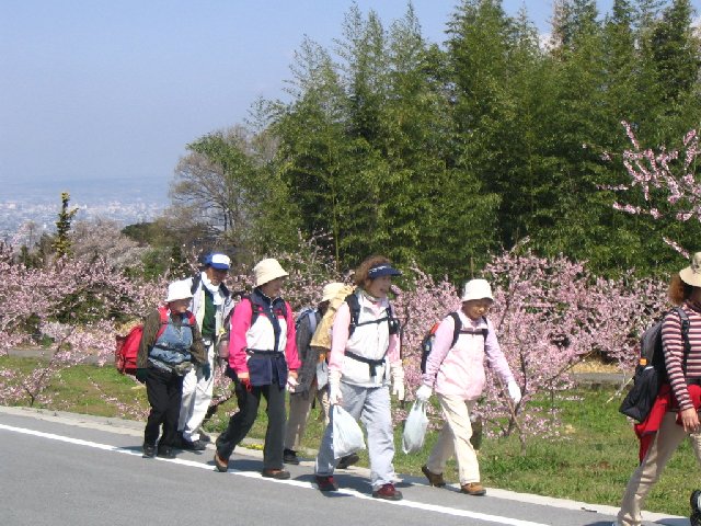 IMG_9041.JPG