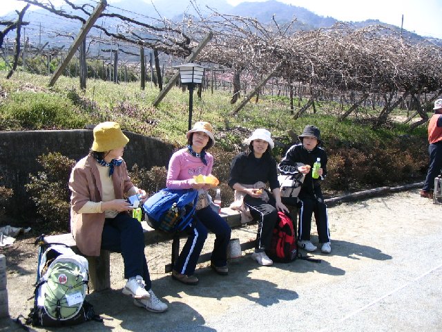 IMG_9047.JPG