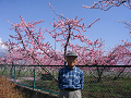 IMG_9049_thumb.png