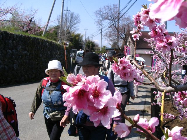 IMG_9058.JPG