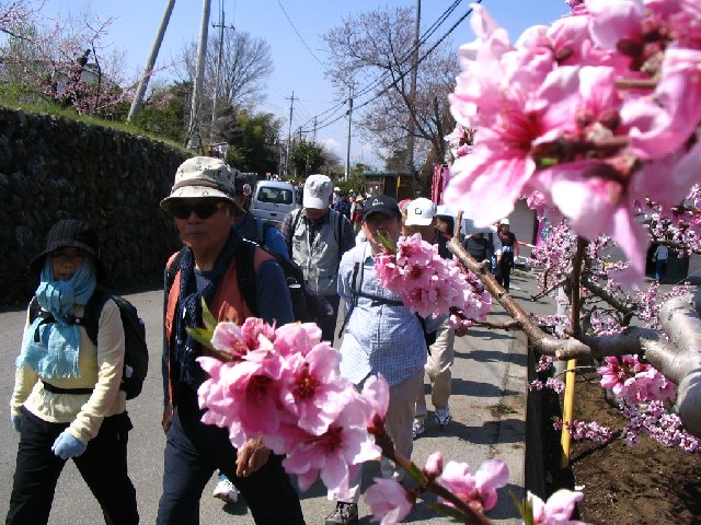 IMG_9060.JPG
