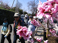 IMG_9060_thumb.png