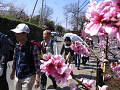 IMG_9061_thumb.png
