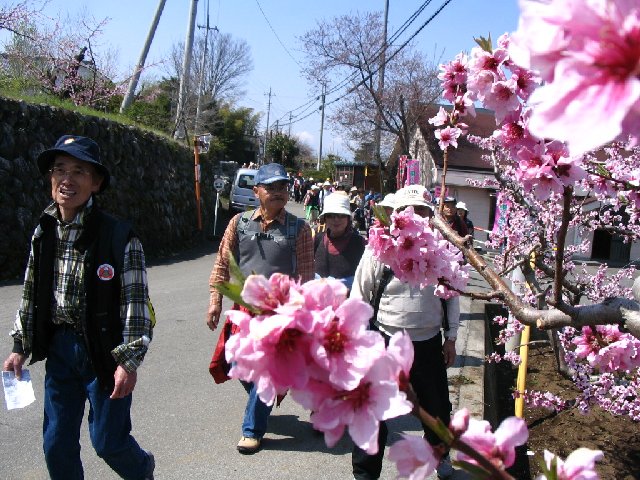 IMG_9063.JPG