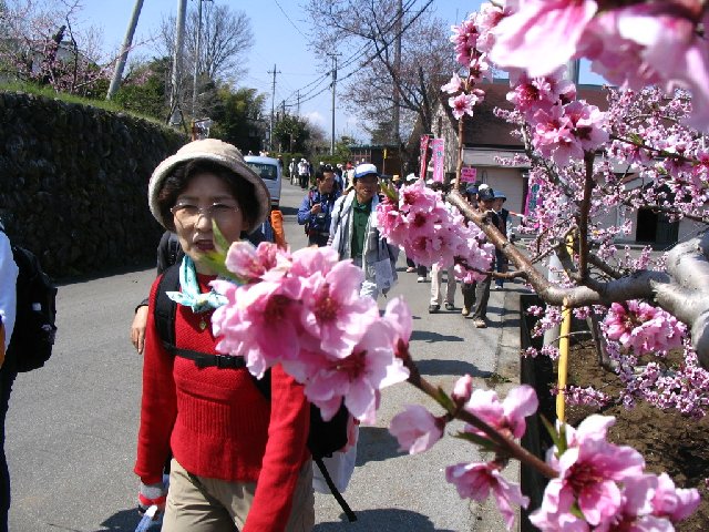 IMG_9065.JPG