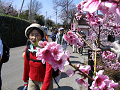 IMG_9065_thumb.png