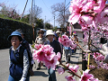 IMG_9067_thumb.png