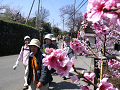 IMG_9071_thumb.png