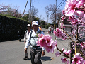 IMG_9073_thumb.png