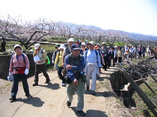 IMG_9093.JPG