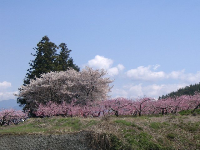 IMG_9095.JPG