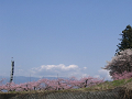 IMG_9097_thumb.png