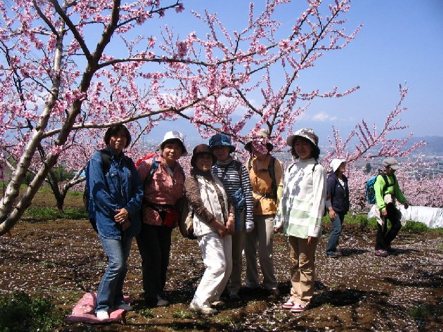 IMG_9110.JPG