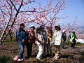 IMG_9110_thumb.png