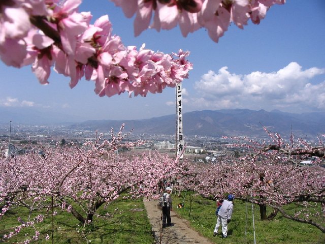 IMG_9115.JPG