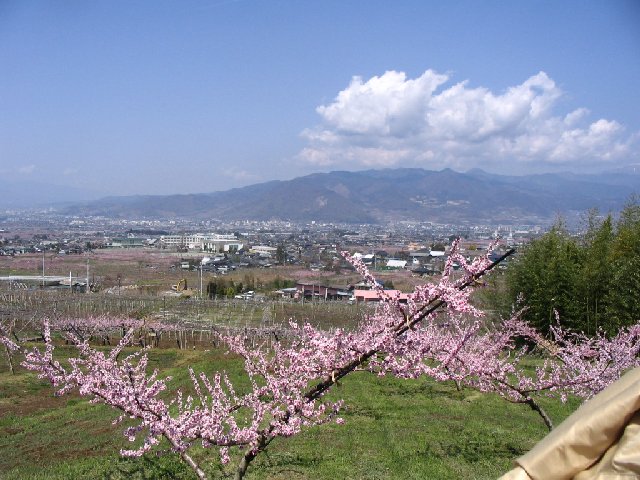 IMG_9126.JPG