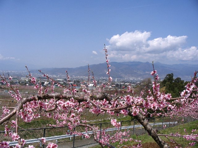 IMG_9128.JPG