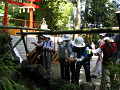 IMG_0903_thumb.png