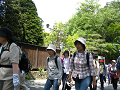 IMG_0910_thumb.png