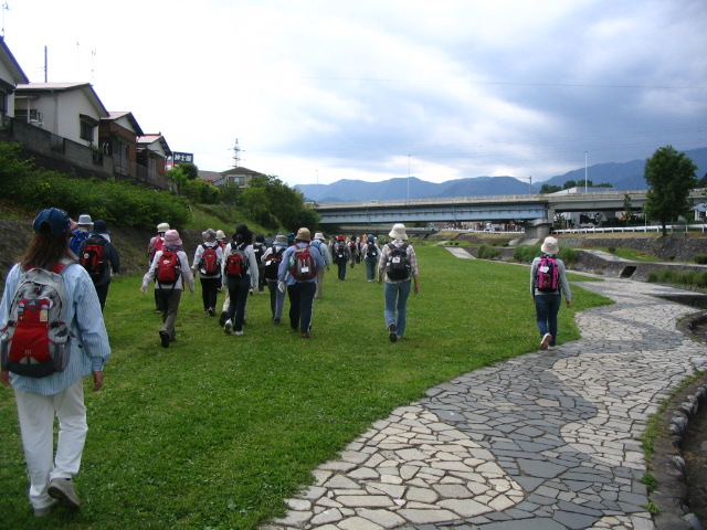 IMG_0919.JPG