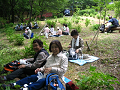 IMG_0814_thumb.png
