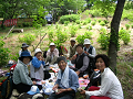 IMG_0820_thumb.png