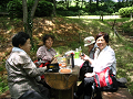 IMG_0824_thumb.png