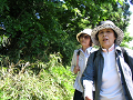 IMG_0531_thumb.png