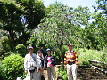 IMG_0625_thumb.png