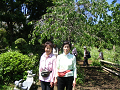 IMG_0629_thumb.png