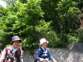 IMG_0716_thumb.png