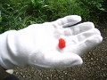 IMG_0737_thumb.png