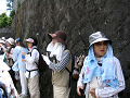 IMG_0750_thumb.png