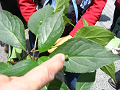 IMG_0757_thumb.png