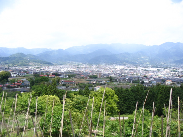 IMG_0763.JPG