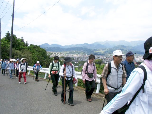 IMG_0774.JPG
