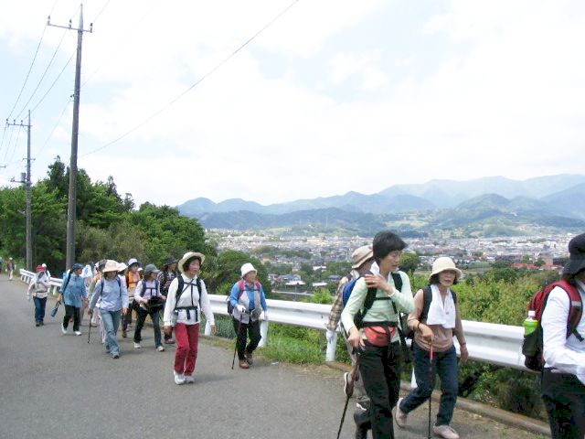 IMG_0775.JPG