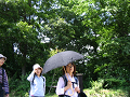 IMG_0788_thumb.png