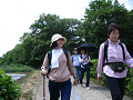IMG_0791_thumb.png