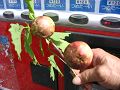 IMG_2359_thumb.png