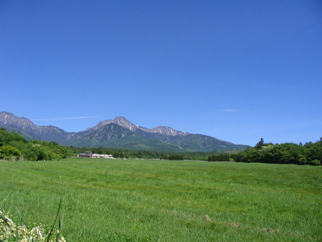 IMG_1975.JPG