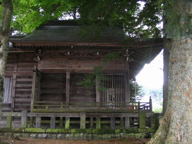 IMG_3721.JPG