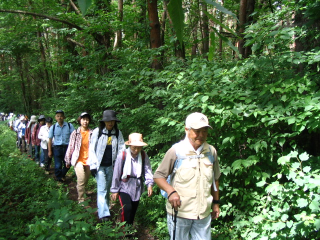 IMG_3343.JPG