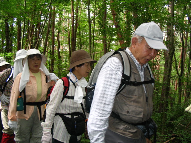 IMG_3352.JPG