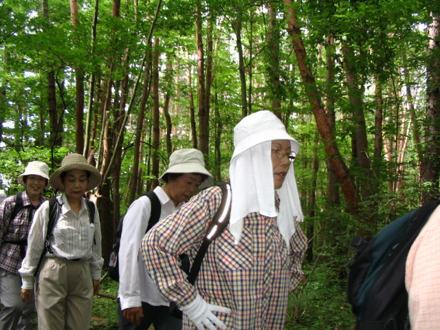 IMG_3353.JPG