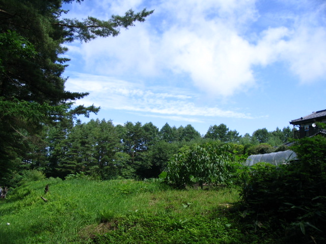 IMG_3368.JPG